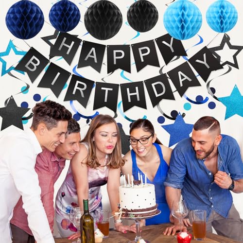meowtastic Black & Blue Birthday Party Decorations Kit: Banner, Honeycomb Balls, Stars Streamers, Circle Garland