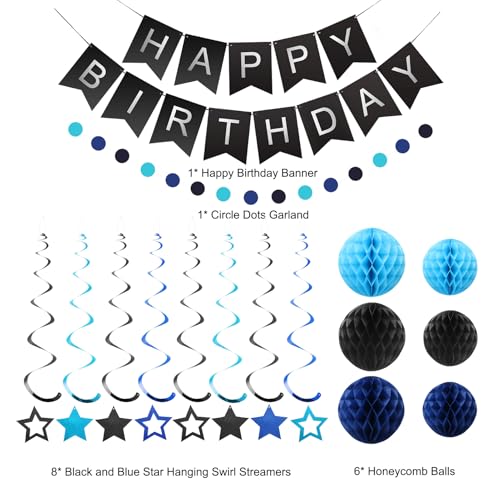 meowtastic Black & Blue Birthday Party Decorations Kit: Banner, Honeycomb Balls, Stars Streamers, Circle Garland