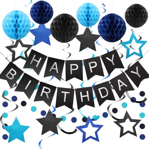 meowtastic Black & Blue Birthday Party Decorations Kit: Banner, Honeycomb Balls, Stars Streamers, Circle Garland
