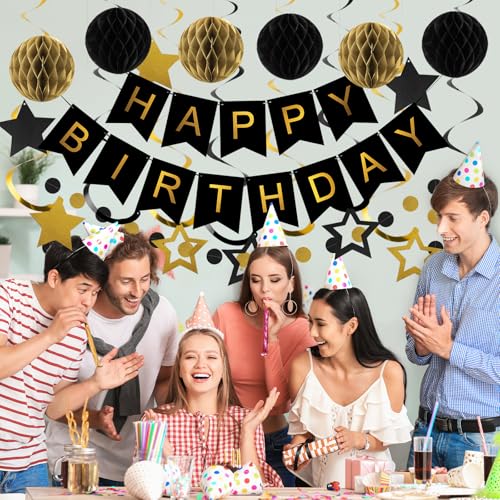 Meowtastic Black & Gold Birthday Decorations Set - 16 Piece Party Kit with Banner, Honeycomb Balls, Streamers & Garland