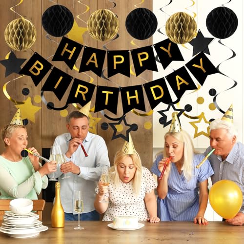 Meowtastic Black & Gold Birthday Decorations Set - 16 Piece Party Kit with Banner, Honeycomb Balls, Streamers & Garland