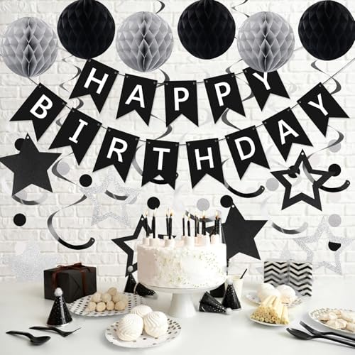 meowtastic Black & Silver Birthday Party Decoration Set – 16-Piece Includes Banner, Honeycomb Balls, Star Streamers, Circle Dot Garland