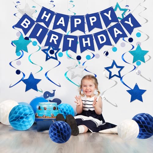 Meowtastic Blue Birthday Decorations Set – Banner, Honeycomb Balls, Stars Streamers & Circle Dots Garland
