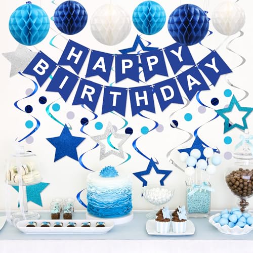 Meowtastic Blue Birthday Decorations Set – Banner, Honeycomb Balls, Stars Streamers & Circle Dots Garland