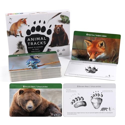 MEROCO Forest Animals Tracks Cards - 64-Piece Matching Game for Kids, Animal Track Identification Flash Cards, Homeschool Learning Toys