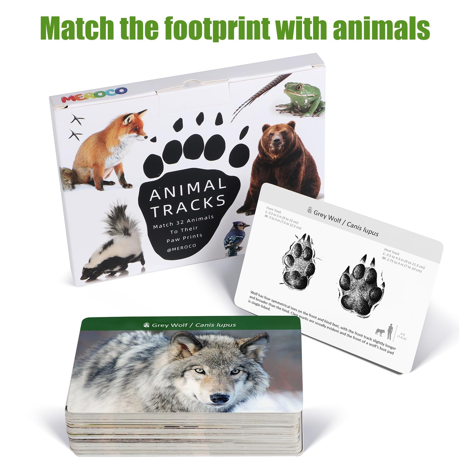 MEROCO Forest Animals Tracks Cards - 64-Piece Matching Game for Kids, Animal Track Identification Flash Cards, Homeschool Learning Toys