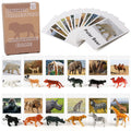 MEROCO Montessori Animal Match – Forest Animal Figurines with Matching Cards for Toddlers and Preschoolers