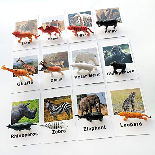 MEROCO Montessori Animal Match – Forest Animal Figurines with Matching Cards for Toddlers and Preschoolers