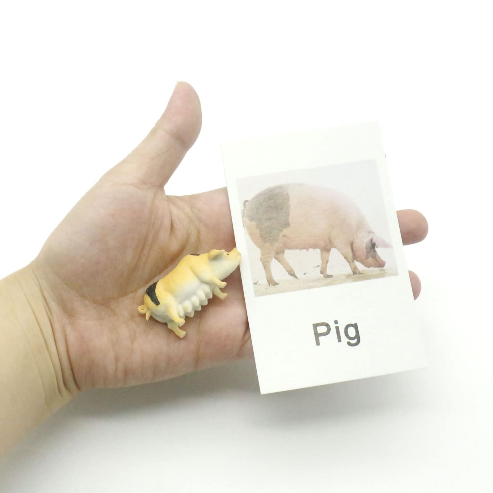MEROCO Montessori Animal Matching Set - 12 Farm Animal Figurines with Matching Cards for Preschool Language Learning