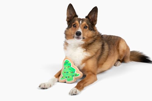 Midlee Christmas Sugar Cookie Plush Dog Toy – Small Festive Squeaky Toy for Dogs
