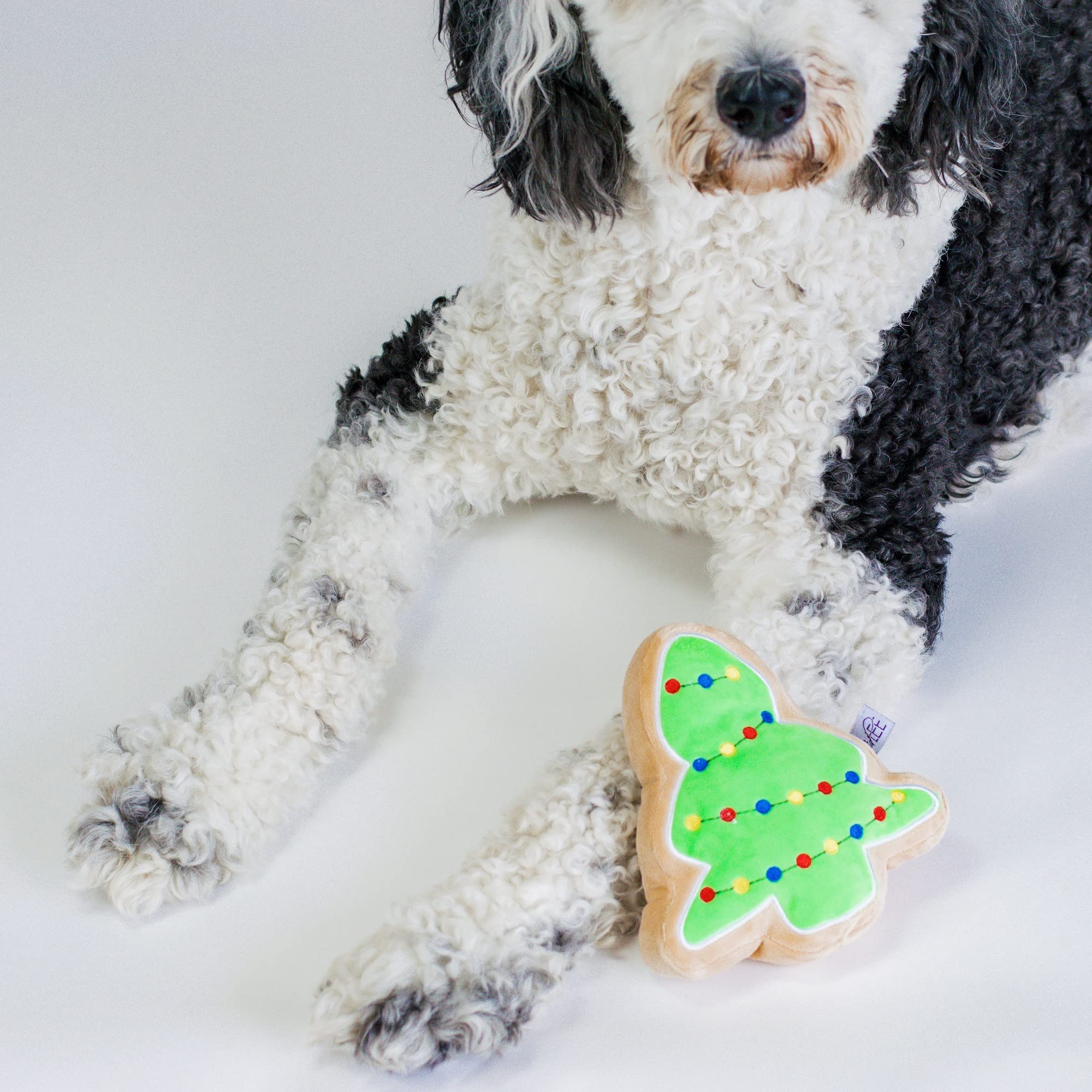 Midlee Christmas Sugar Cookie Plush Dog Toy – Small Festive Squeaky Toy for Dogs
