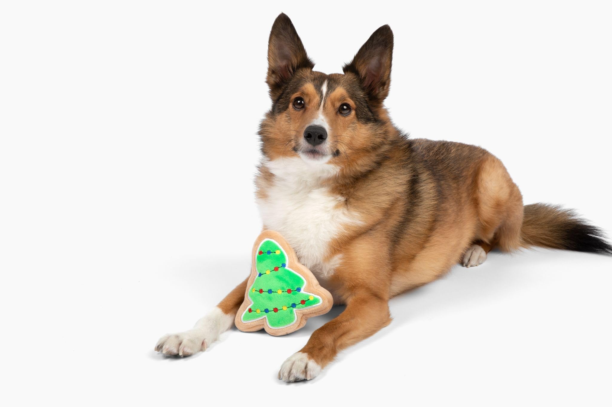 Midlee Christmas Sugar Cookie Plush Dog Toy – Small Festive Squeaky Toy for Dogs