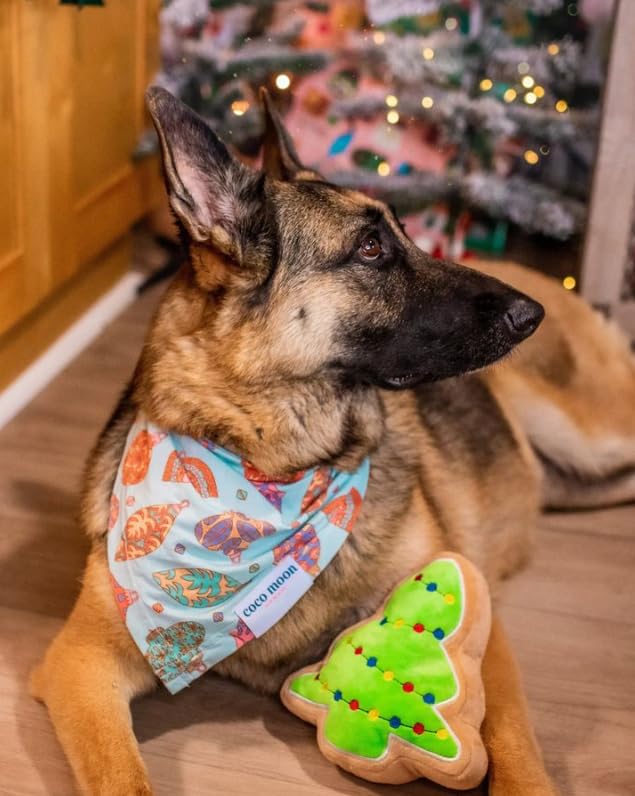 Midlee Christmas Sugar Cookie Plush Dog Toy – Small Festive Squeaky Toy for Dogs