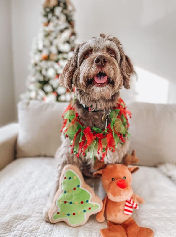 Midlee Christmas Sugar Cookie Plush Dog Toy – Small Festive Squeaky Toy for Dogs