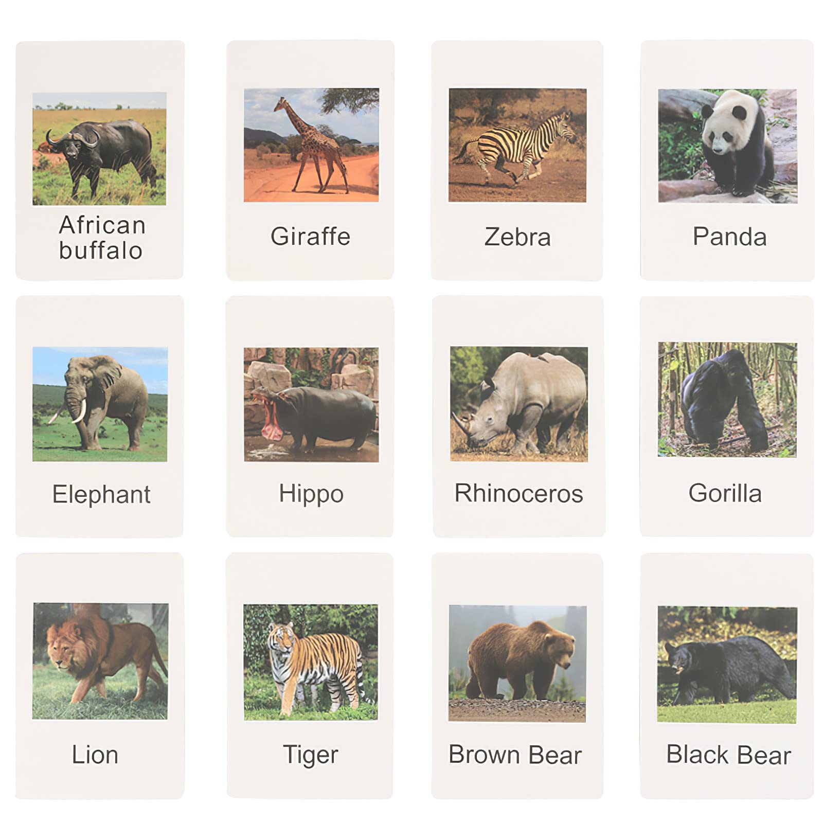 MIKNEKE Montessori Animal Figurines with Matching Flash Cards - 12 Realistic Zoo Animals for Toddlers