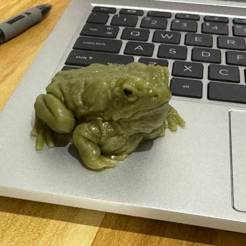 Momoliya Realistic Fake Frog Prank – Cold & Slimy TPR Gag Toy, Stress Relief, Life-Size Green Frog