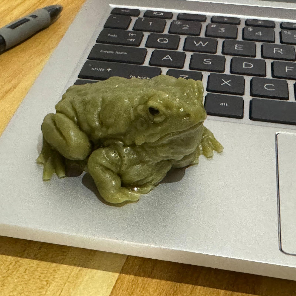 Momoliya Realistic Fake Frog Prank – Cold & Slimy TPR Gag Toy, Stress Relief, Life-Size Green Frog