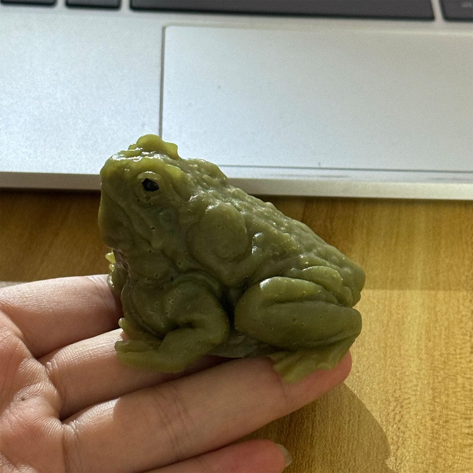 Momoliya Realistic Fake Frog Prank – Cold & Slimy TPR Gag Toy, Stress Relief, Life-Size Green Frog