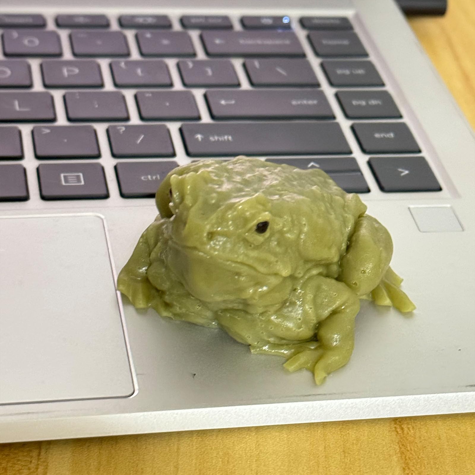Momoliya Realistic Fake Frog Prank – Cold & Slimy TPR Gag Toy, Stress Relief, Life-Size Green Frog