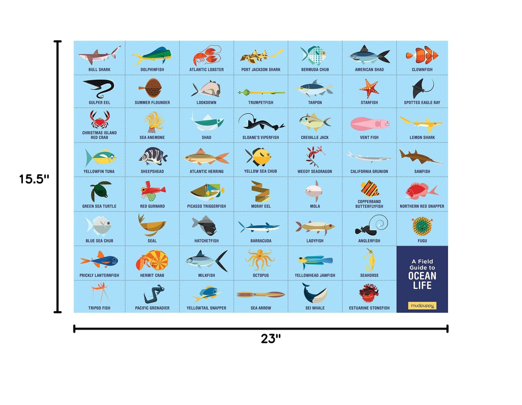 Mudpuppy Ocean Life Search & Find Puzzle – 64 Piece Jigsaw with Over 40 Hidden Sea Creatures
