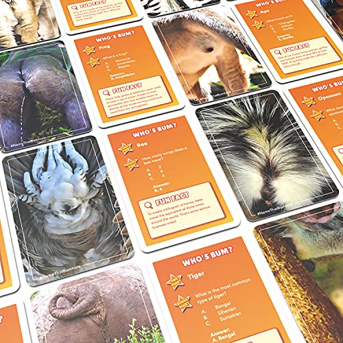 Name That Butthole Card Game – 55 Animal Trivia Flashcards for Parties and Family Game Night