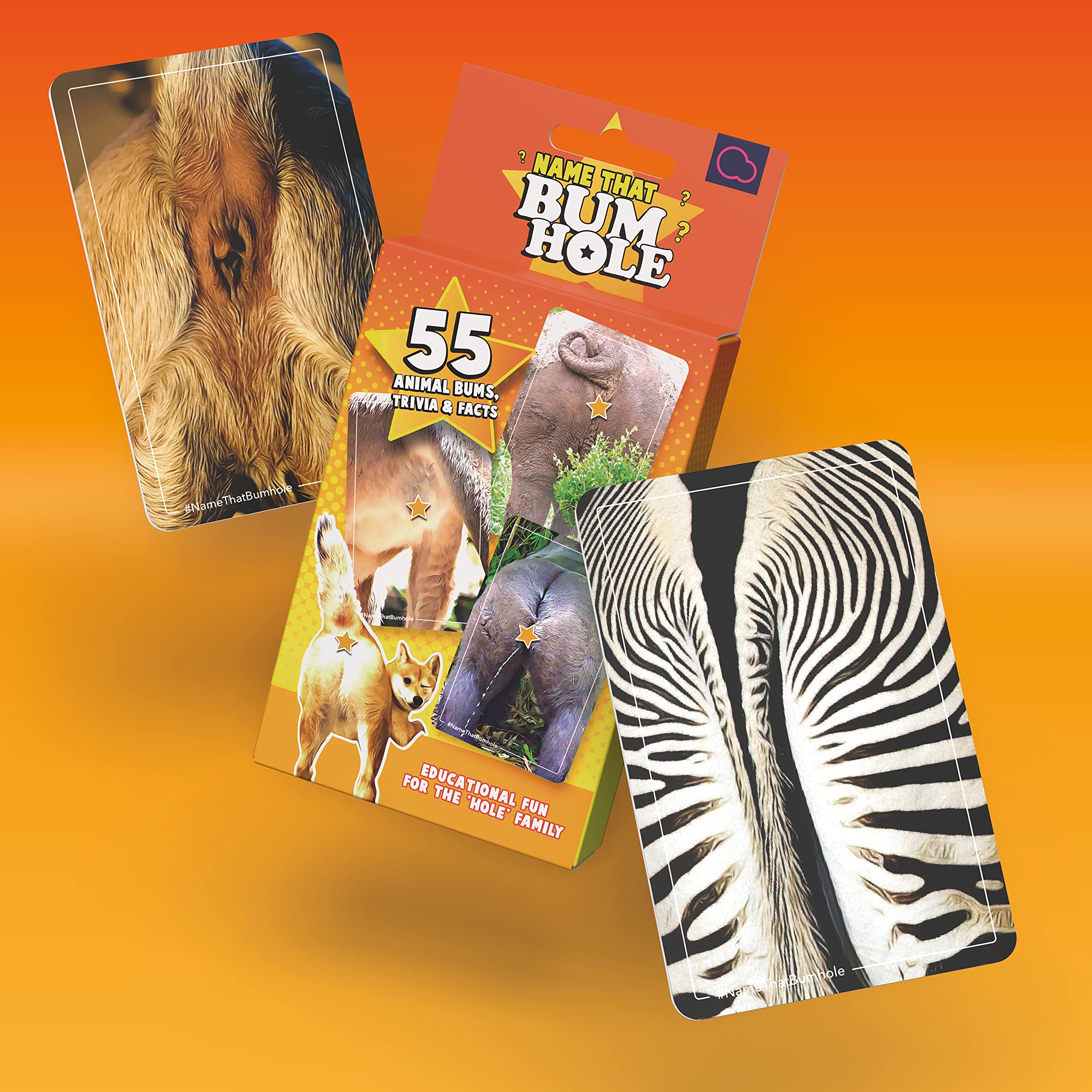 Name That Butthole Card Game – 55 Animal Trivia Flashcards for Parties and Family Game Night