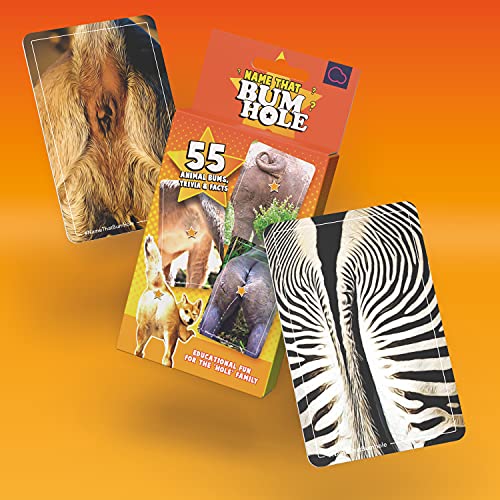 Name That Butthole Card Game – 55 Animal Trivia Flashcards for Parties and Family Game Night