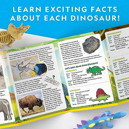 National Geographic Air Dry Clay Dinosaur Craft Kit – 5 Dino Skeletons, 5 Colors, Googly Eyes for Kids Ages 4+