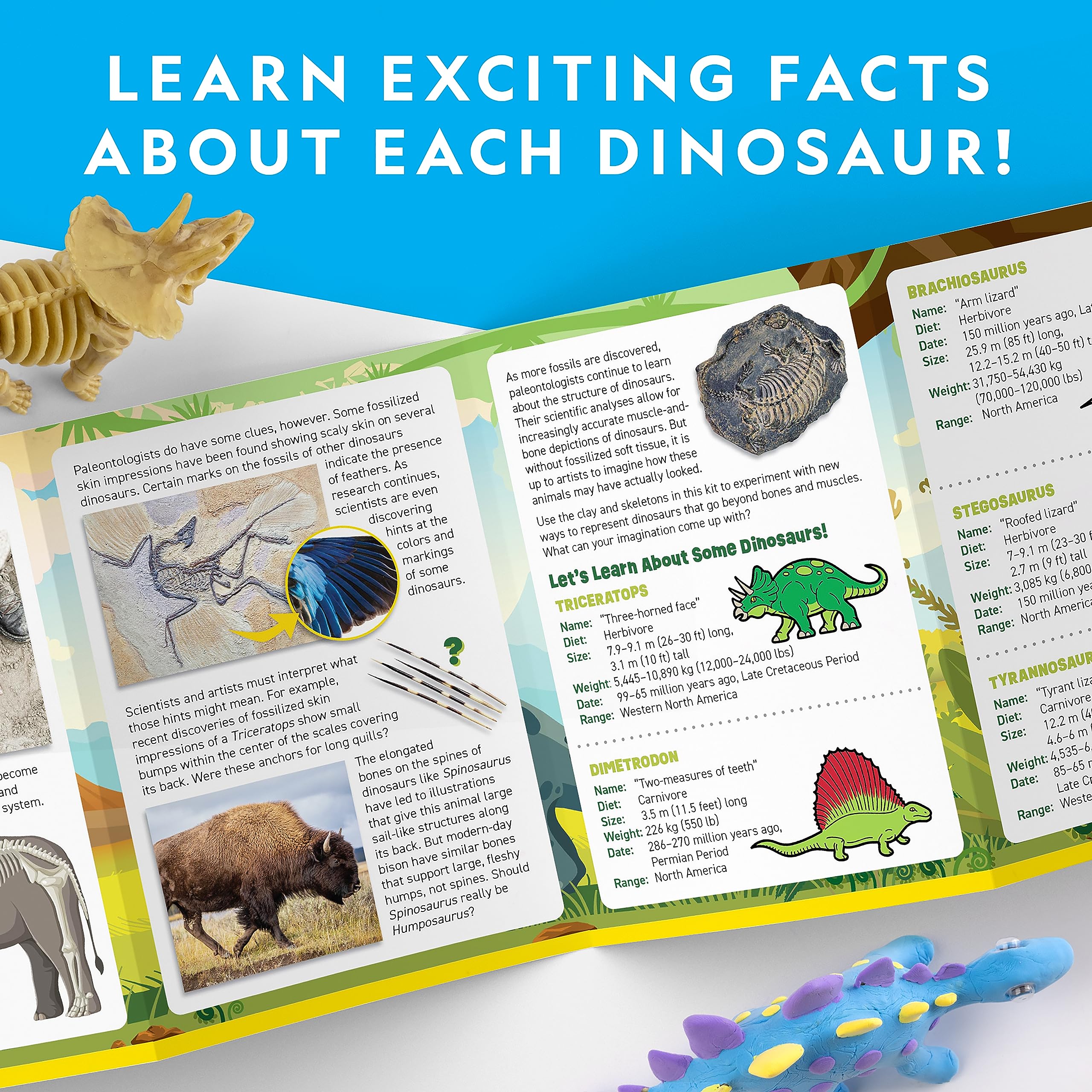 National Geographic Air Dry Clay Dinosaur Craft Kit – 5 Dino Skeletons, 5 Colors, Googly Eyes for Kids Ages 4+