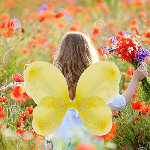 NENMATTE Fairy Wings for Girls – Sparkle Butterfly Angel Wings for Costume Dress-Up