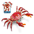 Neomoner Ocean Animal Building Blocks – 242-Piece Crab Set for Kids 6+