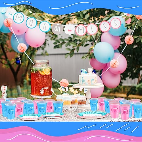 Norme 30-Pack Gender Reveal Cups – 16 oz Blue & Pink Disposable Party Cups with Team Boy/Girl Prints