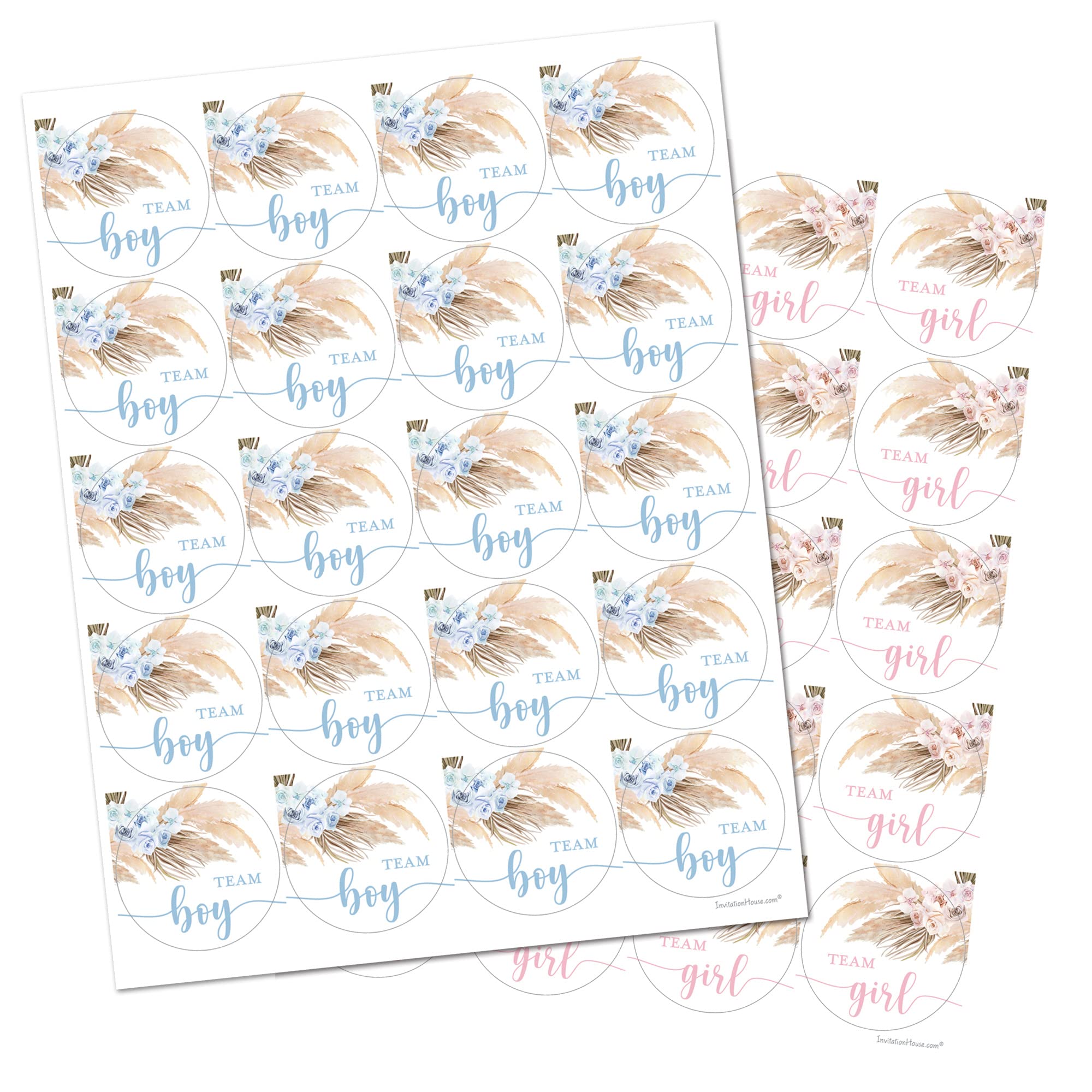 Pampas Grass Gender Reveal Stickers – 40 Labels (20 Pink, 20 Blue) by InvitationHouse