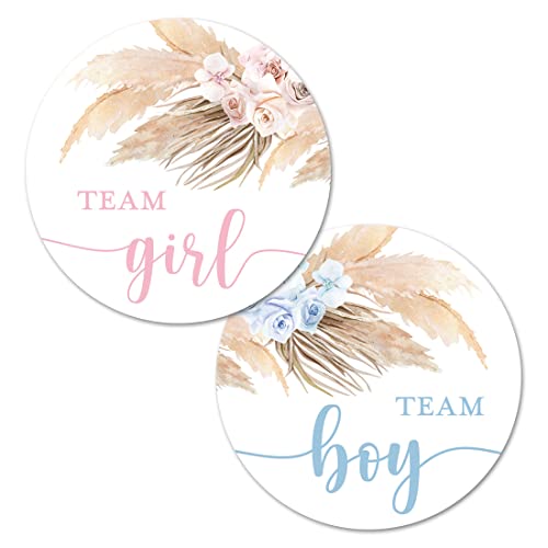 Pampas Grass Gender Reveal Stickers – 40 Labels (20 Pink, 20 Blue) by InvitationHouse