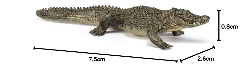 Papo Alligator Figure – Realistic Wild Life Toy for Kids Ages 3+