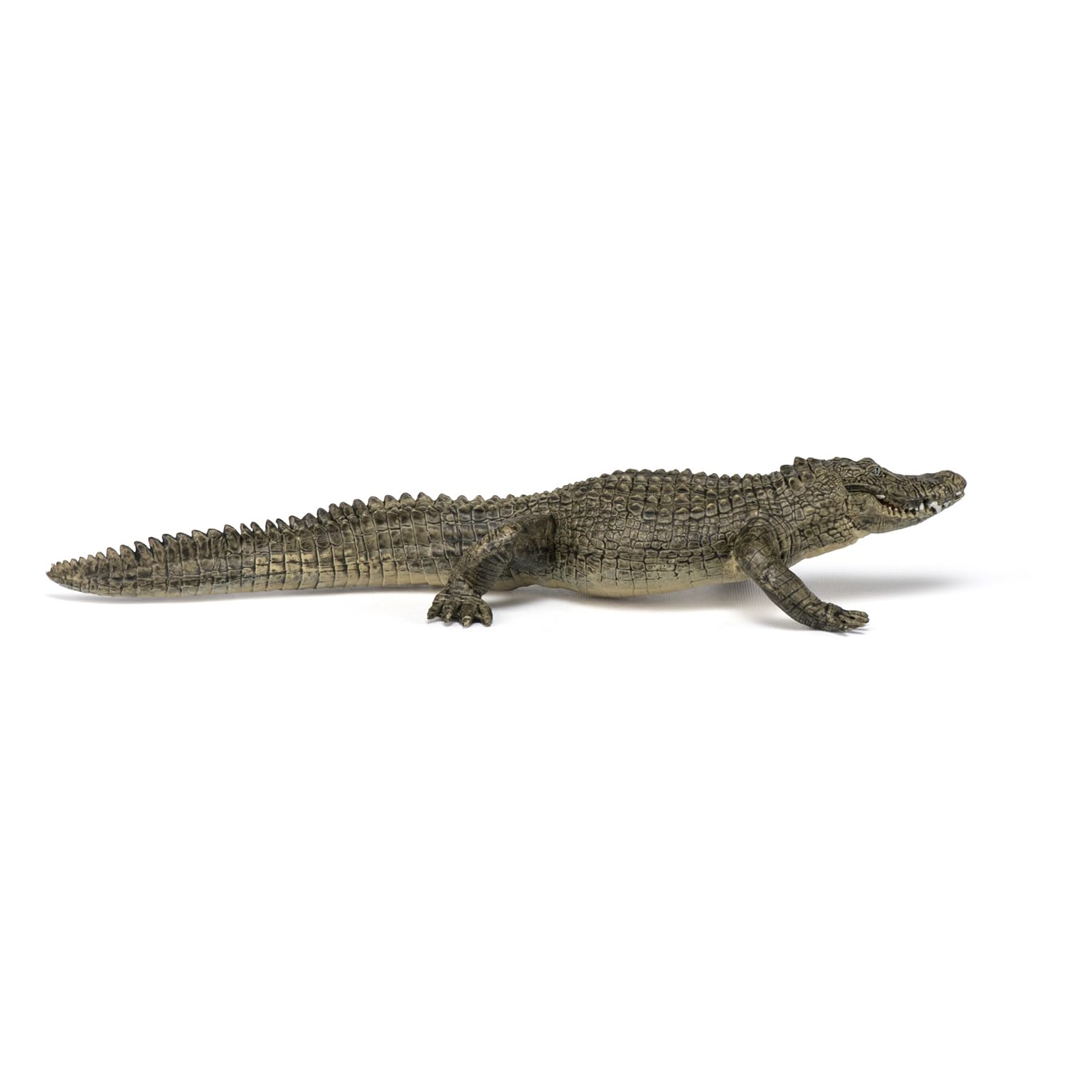 Papo Alligator Figure – Realistic Wild Life Toy for Kids Ages 3+