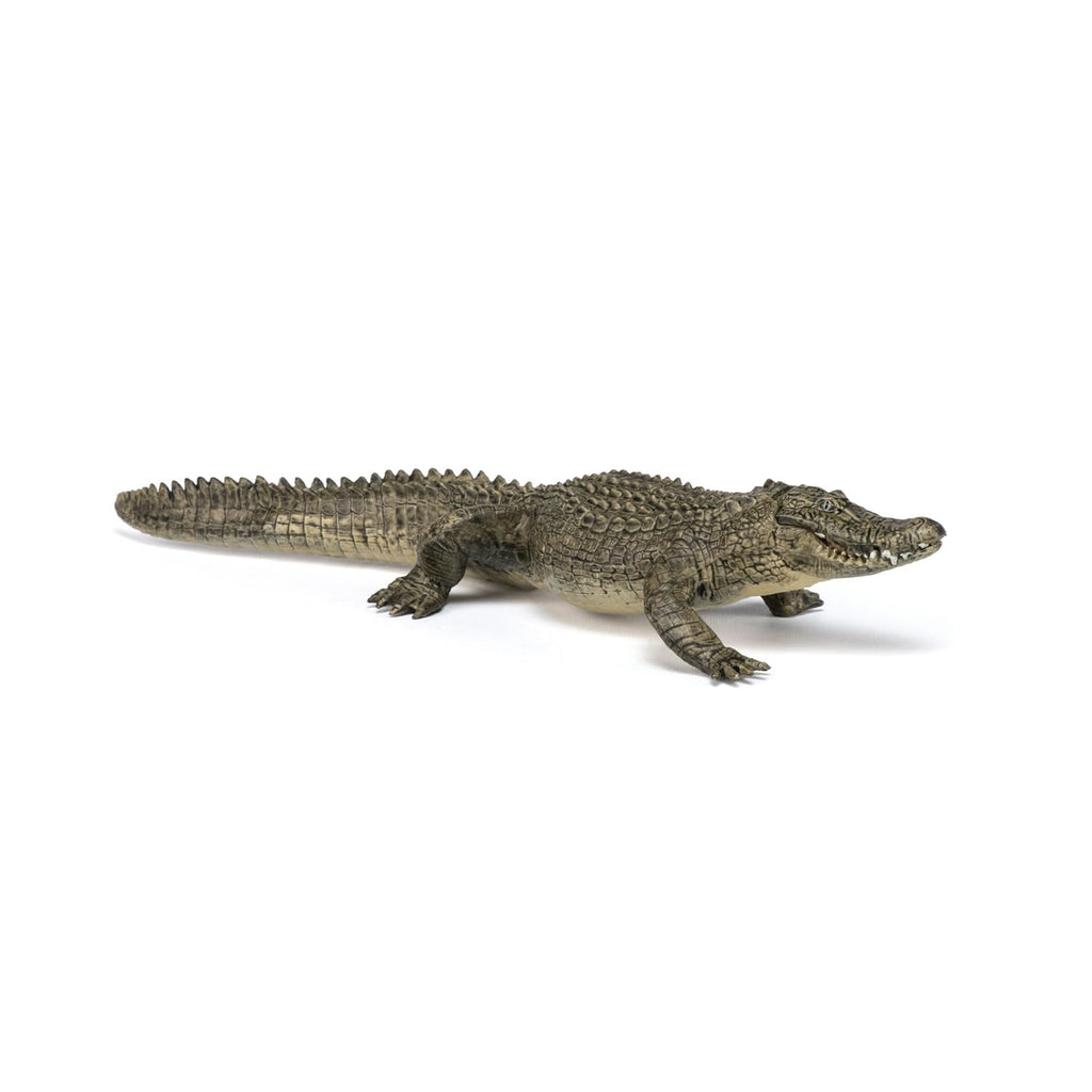 Papo Alligator Figure – Realistic Wild Life Toy for Kids Ages 3+
