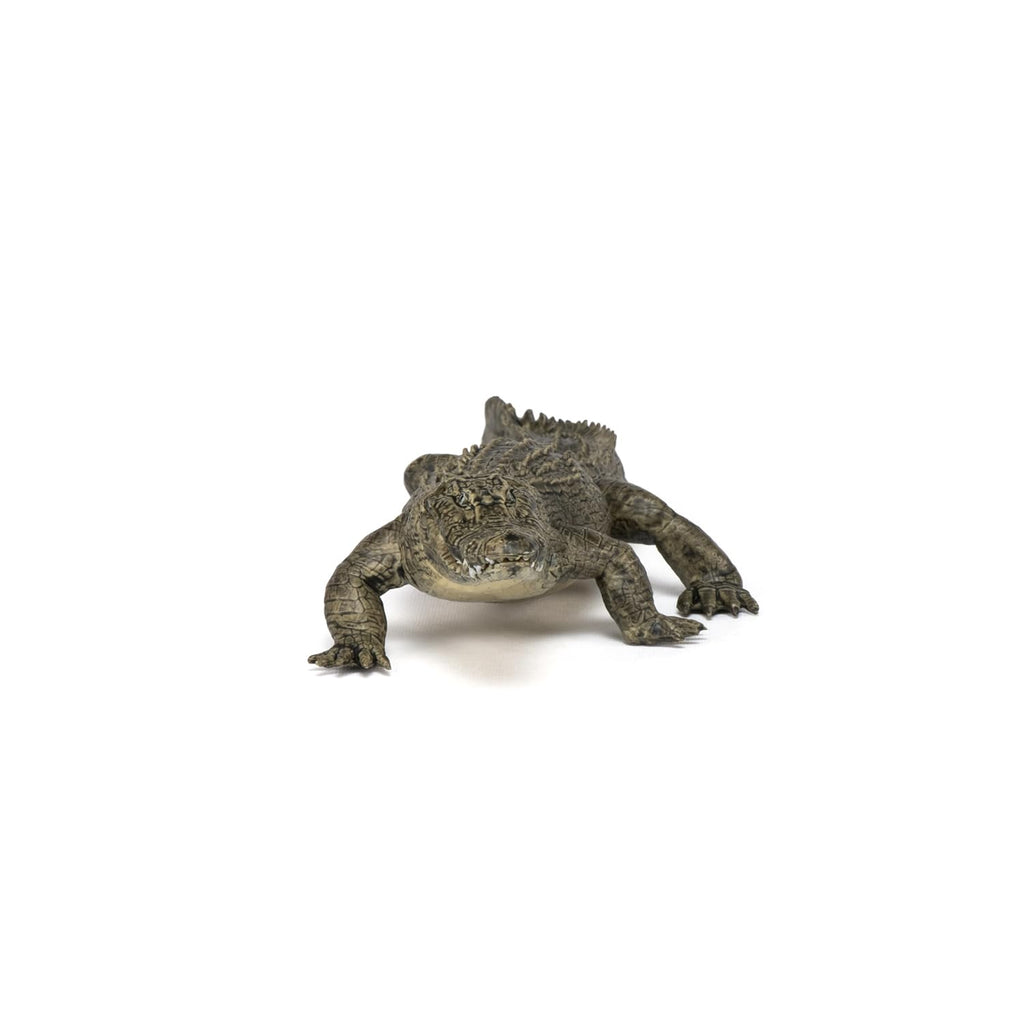 Papo Alligator Figure – Realistic Wild Life Toy for Kids Ages 3+