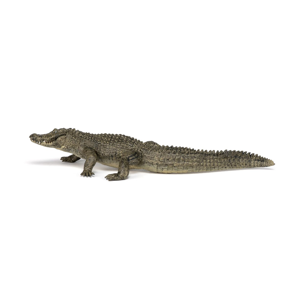 Papo Alligator Figure – Realistic Wild Life Toy for Kids Ages 3+