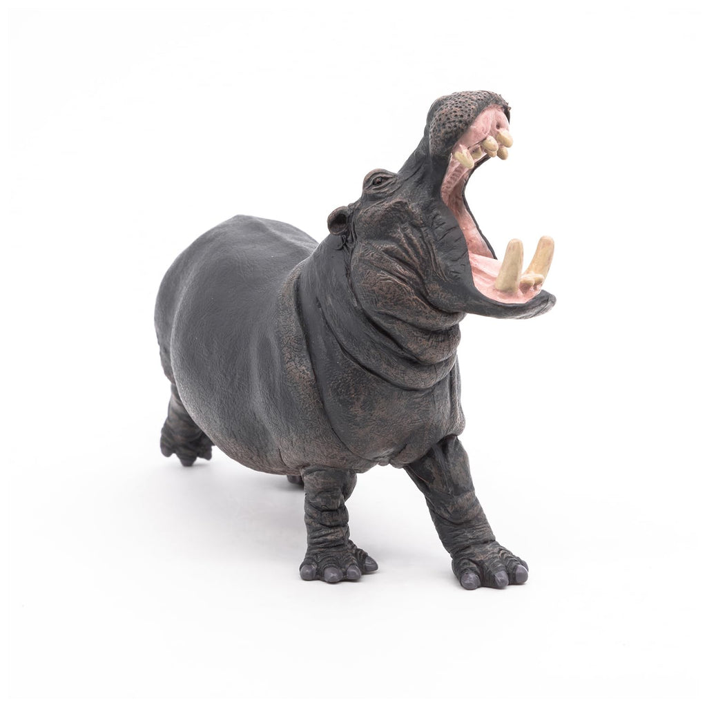 Papo Hippopotamus Toy Figure – Hand-Painted Realistic Wild Animal Figurine