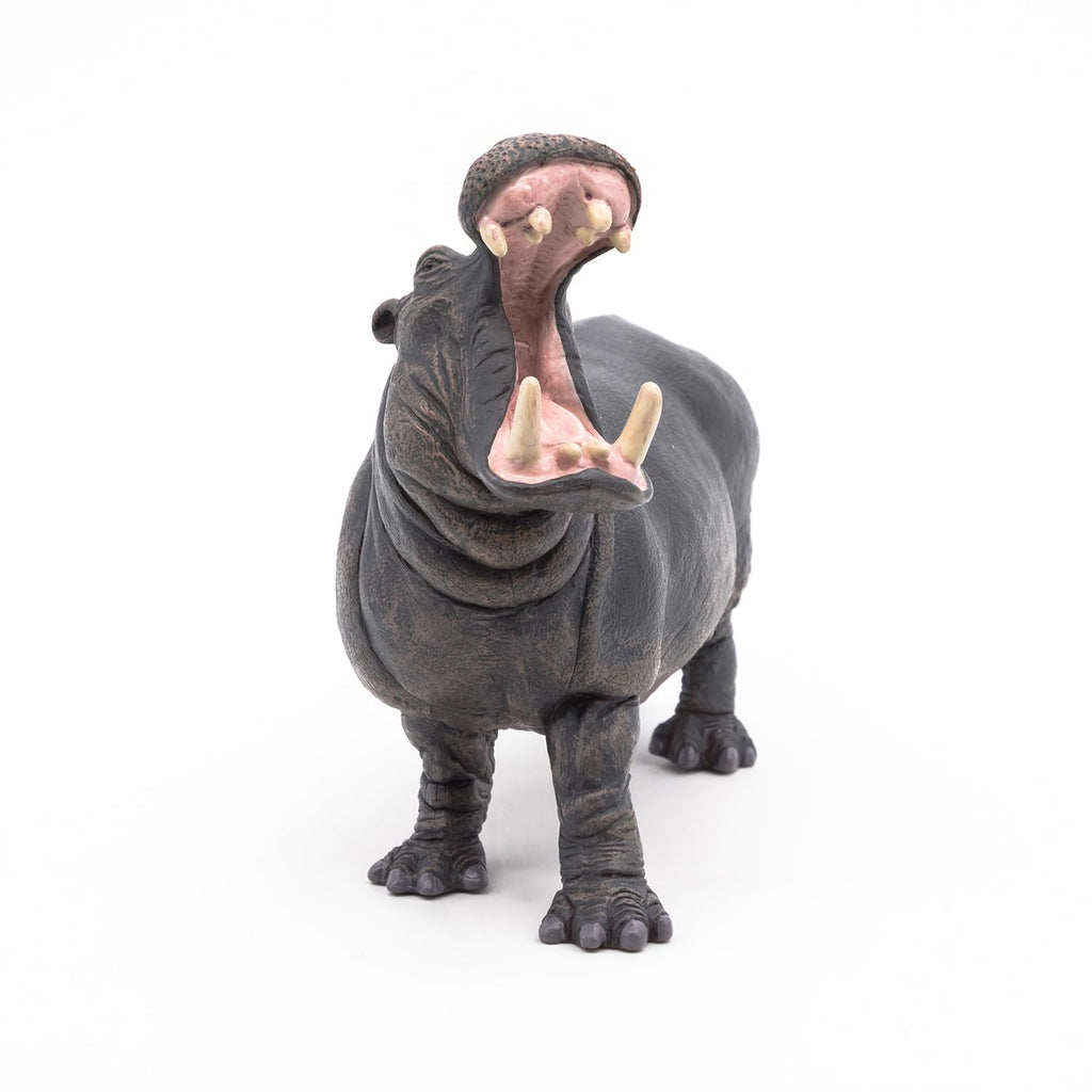 Papo Hippopotamus Toy Figure – Hand-Painted Realistic Wild Animal Figurine