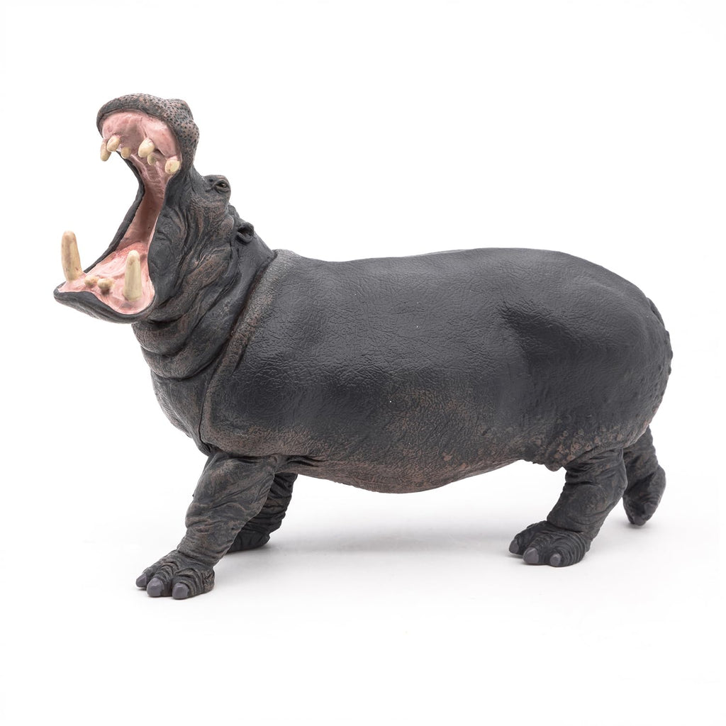 Papo Hippopotamus Toy Figure – Hand-Painted Realistic Wild Animal Figurine