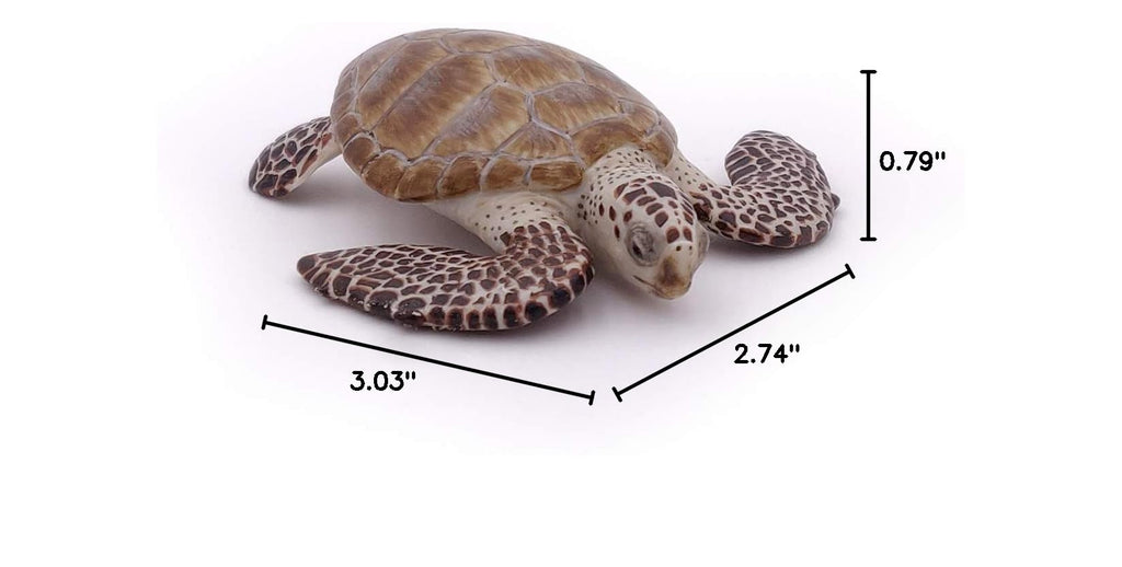 Papo Loggerhead Sea Turtle Figurine – Realistic Marine Life Toy for Kids Ages 3+