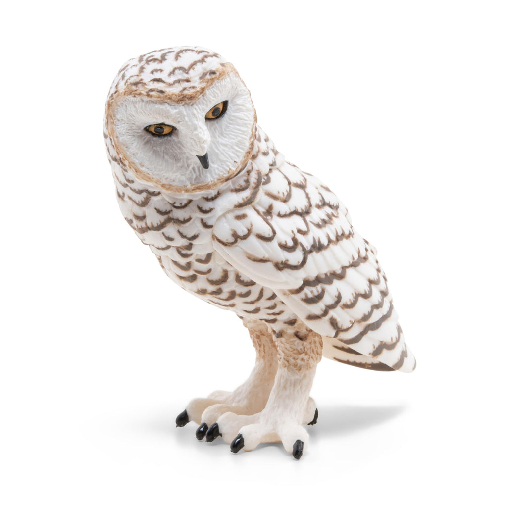 Papo Snowy Owl Figure - Realistic Plastic Collectible Toy for Ages 3 and Up