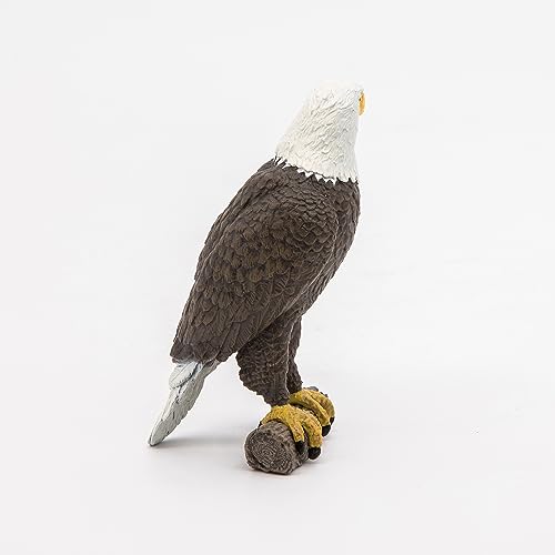 Papo White-Tailed Eagle Figurine – Realistic Raptor Toy for Ages 3+ | Wild Life Collection