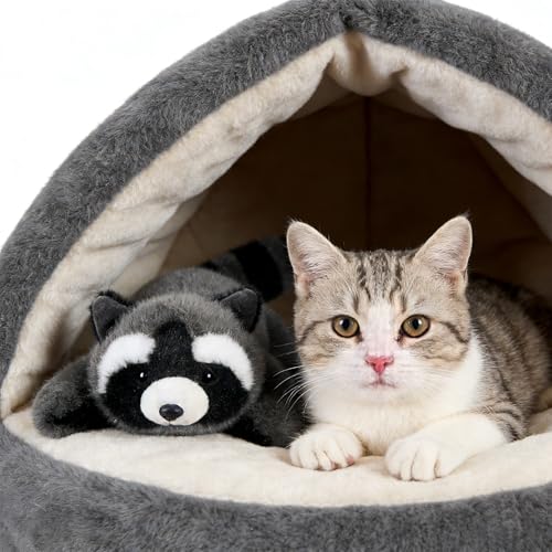 PEACH CAT Slightly Weighted Scented Raccoon Plush – 6.5 inch Cuddly Toy for Kids, Gift Box