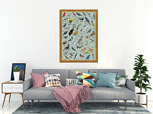 PICKFORU 1000 Piece Bird Puzzle – Backyard Birds of North America with 47 Species Labeled