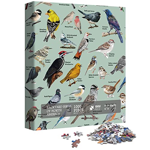 PICKFORU 1000 Piece Bird Puzzle – Backyard Birds of North America with 47 Species Labeled