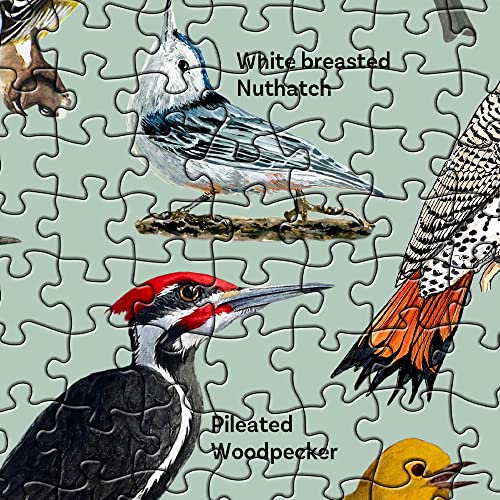 PICKFORU 1000 Piece Bird Puzzle – Backyard Birds of North America with 47 Species Labeled