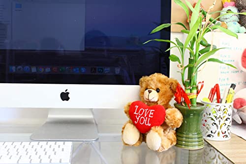 Plushland Mocha Heart Bear – 6-Inch Stuffed Teddy with Embroidered Love Heart, Soft Plush Toy for Kids & Adults